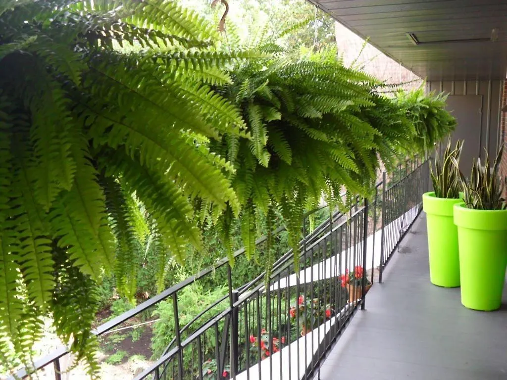 Studio Living Bed & Breakfast Montreal Canada